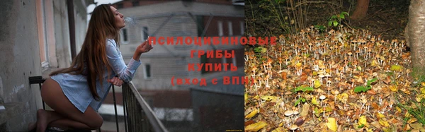 хмурый Абинск